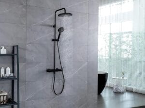 Colonne de douche WIRQUIN Noir avec inverseur et mitigeur mécanique BLACK ROMA TOUCH