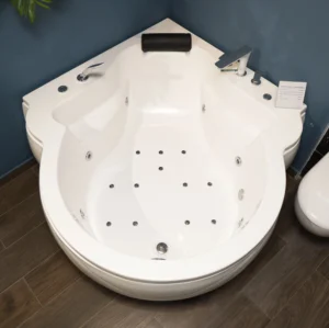Baignoire Hydromassage ELYSEE Mixte