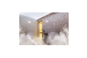 générateur de vapeur pour hammam