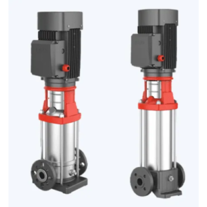 Pompes Multicellulaires