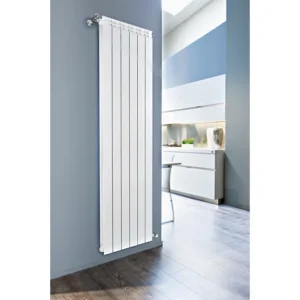 DUAL 80 – Radiateur Vertical Design Fondital | Tunisie