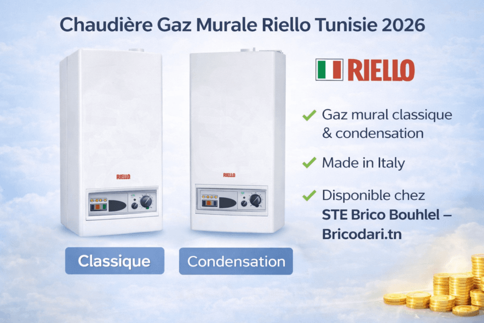 Chaudière à Gaz Murale RIELLO