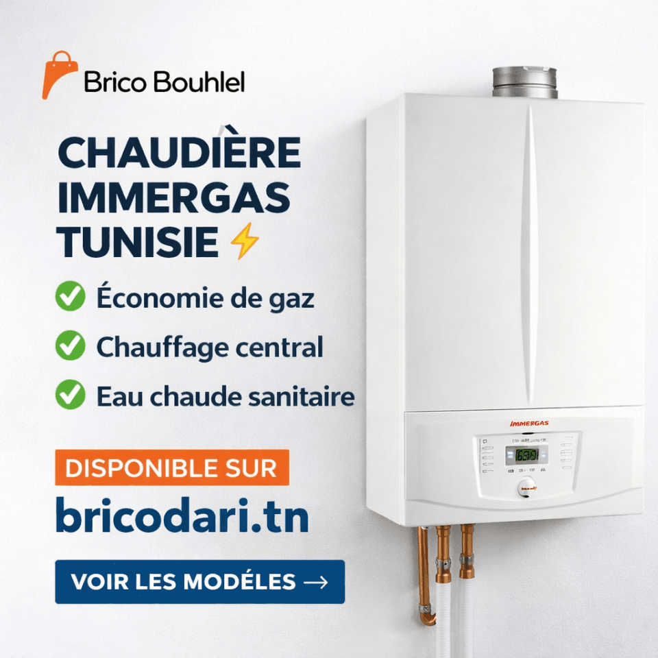 Chaudière Immergas murale gaz à condensation en Tunisie